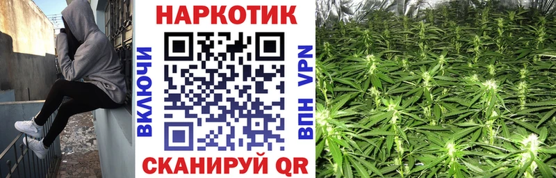 Где купить Мончегорск МАРИХУАНА  mega маркетплейс  Кокаин  Псилоцибиновые грибы  ГАШИШ  APVP  Меф мяу мяу 