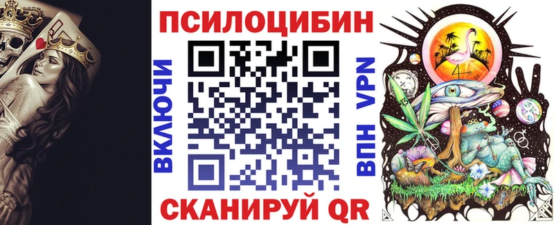 Галлюциногенные грибы Psilocybine cubensis  Мончегорск 
