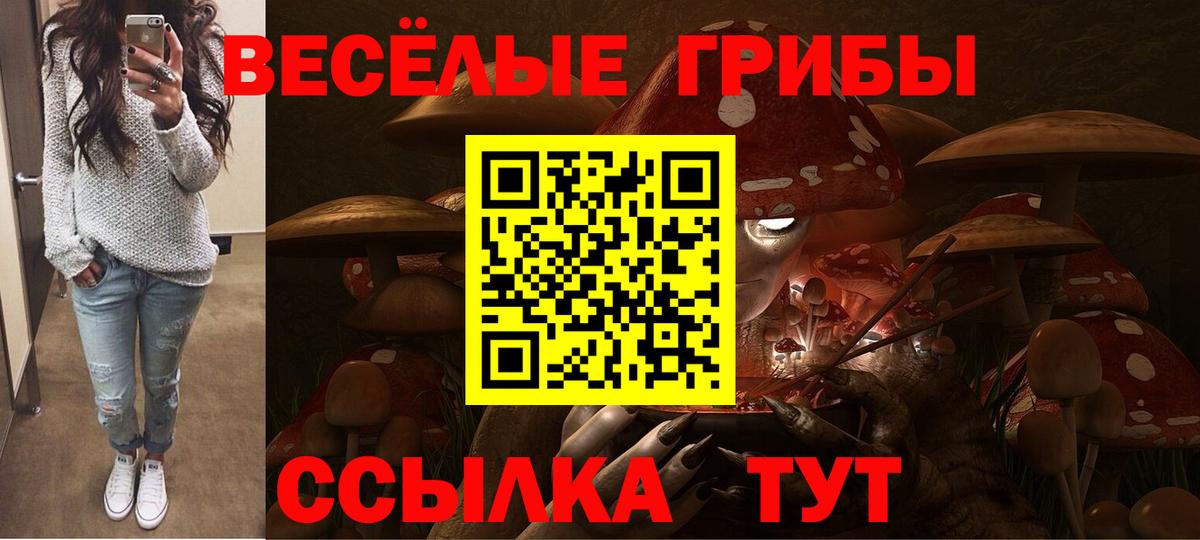 Псилоцибиновые грибы прущие грибы Мончегорск