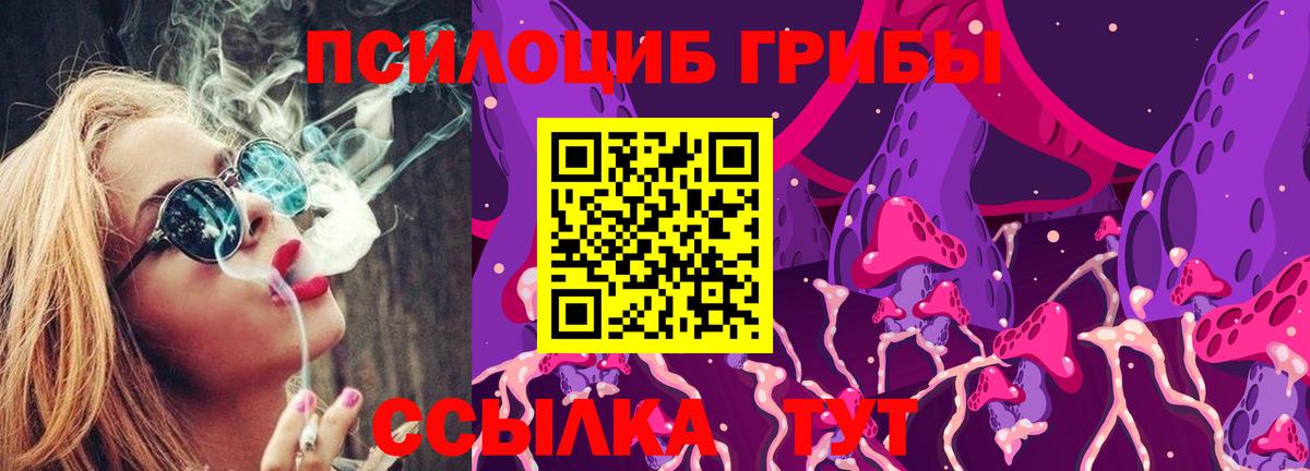 Псилоцибиновые грибы Magic Shrooms  Вход с VPN  Мончегорск 